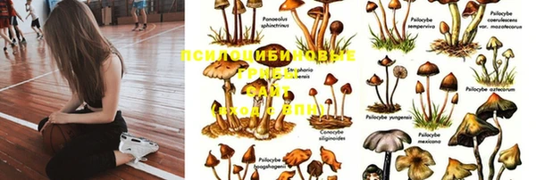 Альфа ПВП Белокуриха