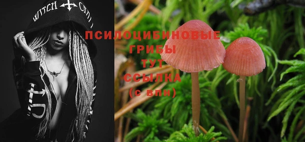 прущий лед Белоозёрский